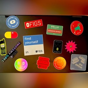 FIGS Stickers